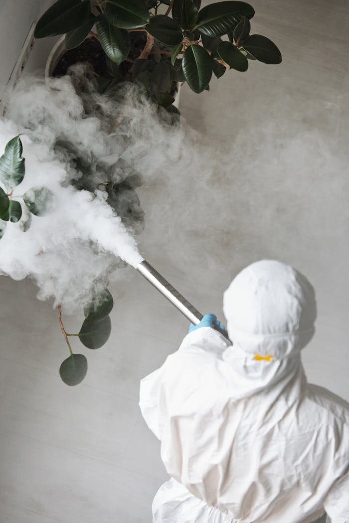 about-us Person in protective gear fumigating an indoor plant, emitting smoke.