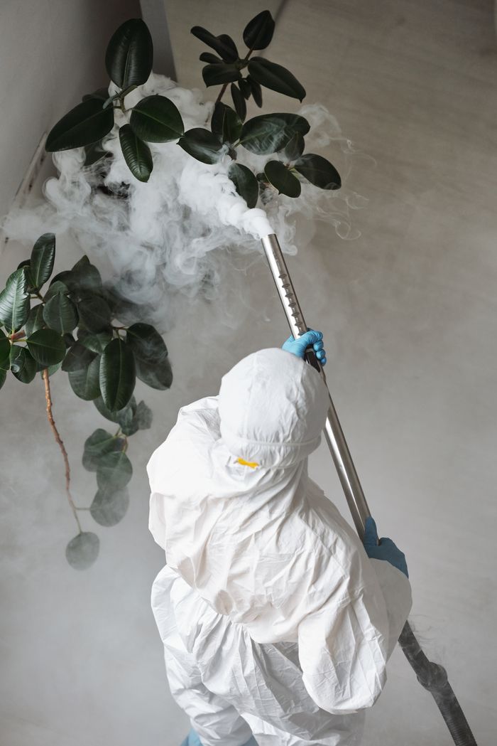 services-05 A person in protective gear uses a sprayer for indoor disinfection.